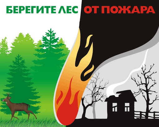 безопасность в лесу