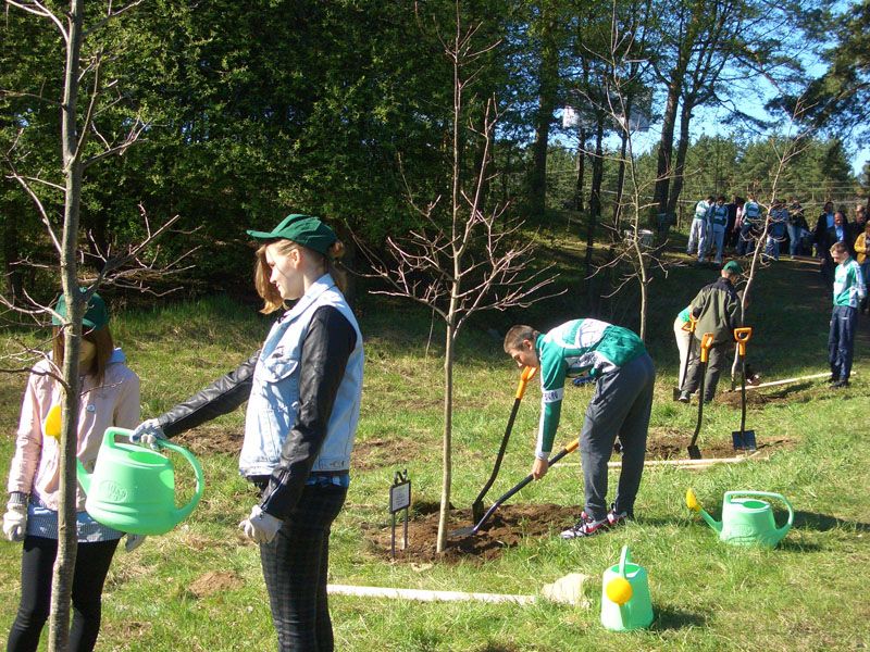 2014-posadka-lesa2
