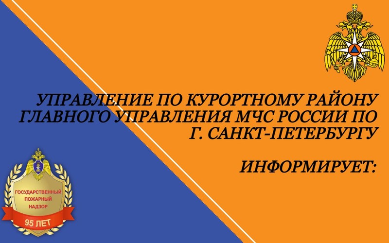 МЧС Курортный район