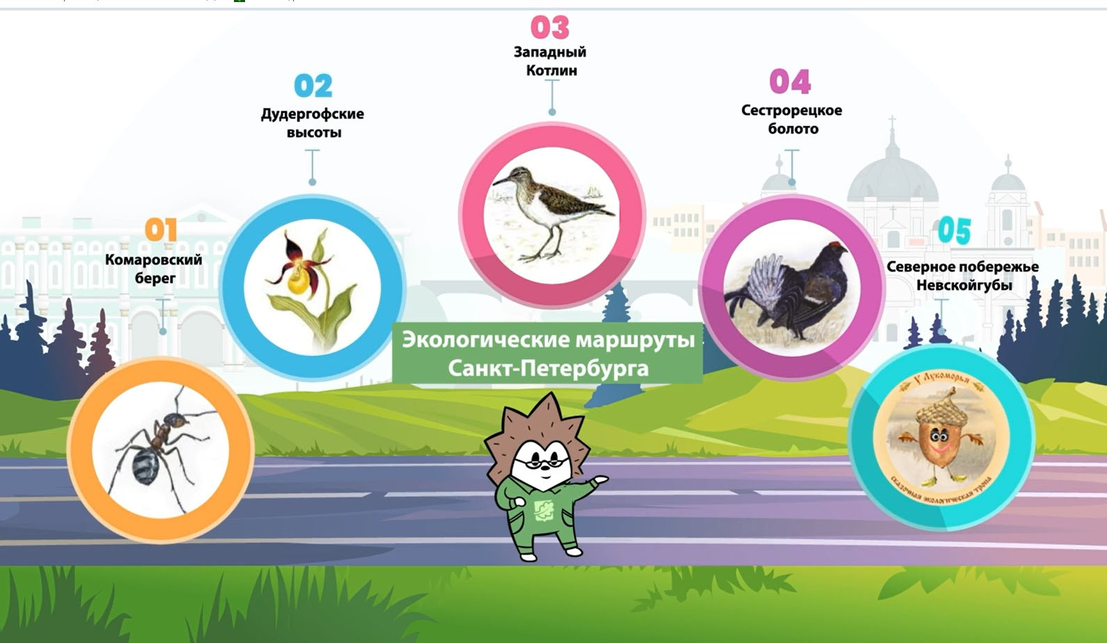 экологические маршруты Санкт Петербурга