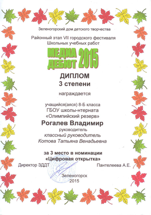 2015-kotova-otkrytka
