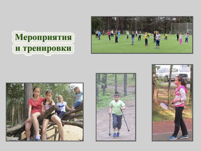 sport