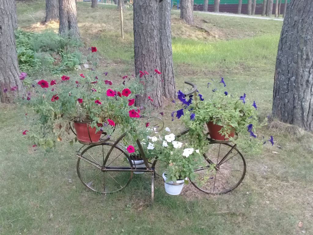 20180831 182219