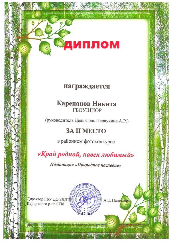 2017-karepanov
