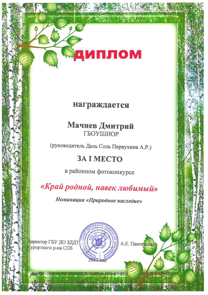 2017-machnev