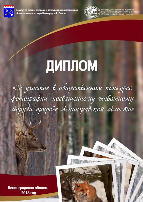 2018 diplom -uchastnika