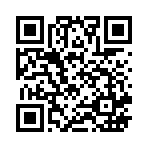 qr code литрес